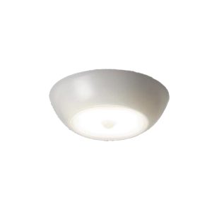 Motion Sensor Light